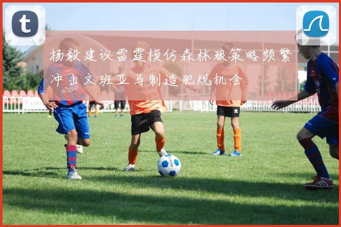 杨毅建议雷霆模仿森林狼策略频繁冲击文班亚马制造犯规机会