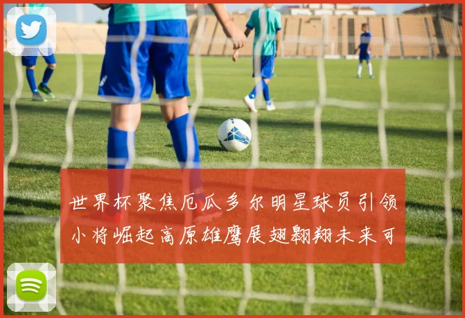 世界杯聚焦厄瓜多尔明星球员引领小将崛起高原雄鹰展翅翱翔未来可期